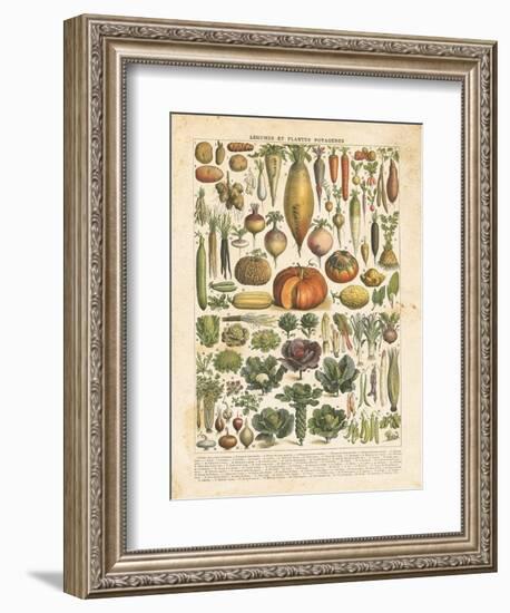 French Vegetable Chart-Gwendolyn Babbitt-Framed Premium Giclee Print