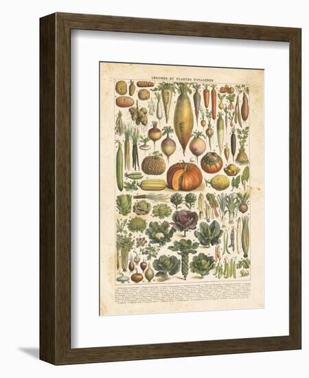 French Vegetable Chart-Gwendolyn Babbitt-Framed Premium Giclee Print