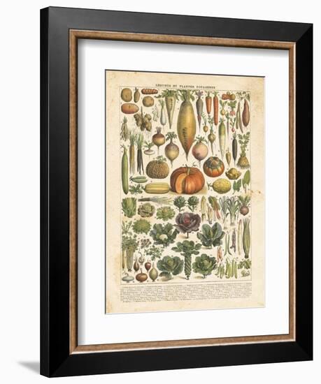 French Vegetable Chart-Gwendolyn Babbitt-Framed Premium Giclee Print