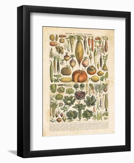 French Vegetable Chart-Gwendolyn Babbitt-Framed Premium Giclee Print