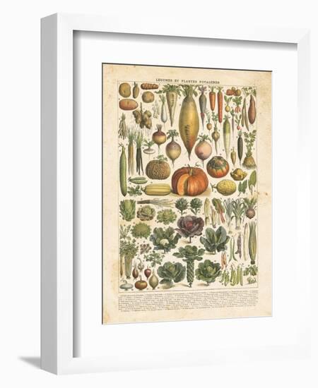 French Vegetable Chart-Gwendolyn Babbitt-Framed Premium Giclee Print