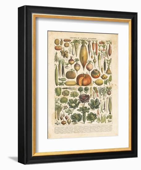 French Vegetable Chart-Gwendolyn Babbitt-Framed Premium Giclee Print