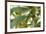 French West Indies, Saint Martin. Baie Nettle, palm tree, morning-Walter Bibikow-Framed Photographic Print