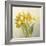 French Yellow Tulips No Butterfly-Danhui Nai-Framed Art Print