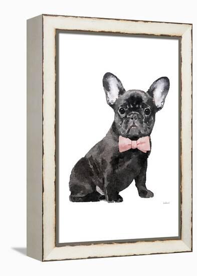 Frenchie I-Amanda Greenwood-Framed Stretched Canvas