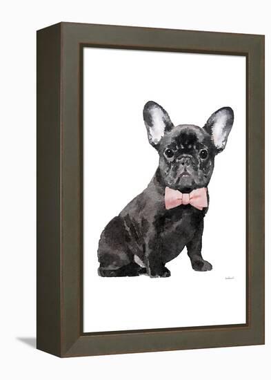 Frenchie I-Amanda Greenwood-Framed Stretched Canvas