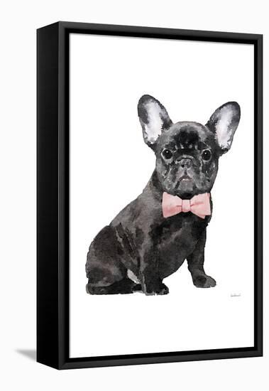 Frenchie I-Amanda Greenwood-Framed Stretched Canvas