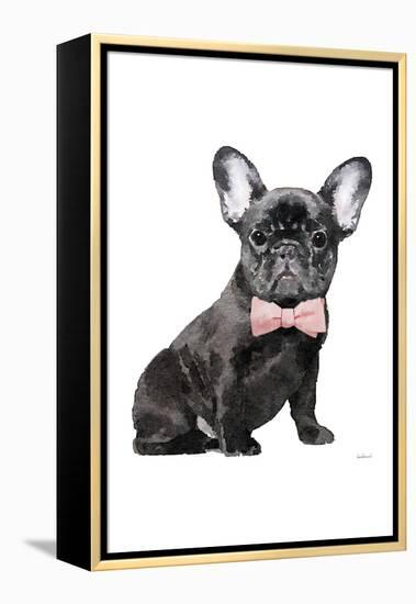 Frenchie I-Amanda Greenwood-Framed Stretched Canvas