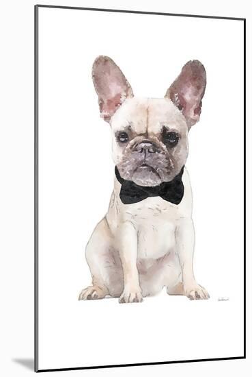 Frenchie II-Amanda Greenwood-Mounted Art Print