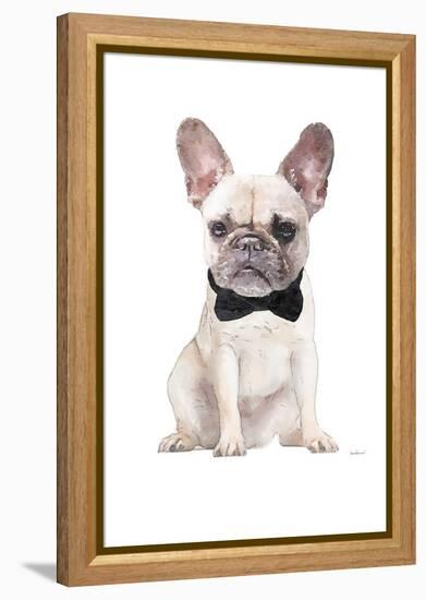 Frenchie II-Amanda Greenwood-Framed Stretched Canvas