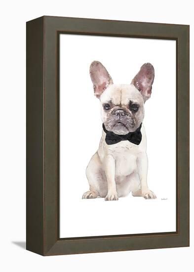 Frenchie II-Amanda Greenwood-Framed Stretched Canvas