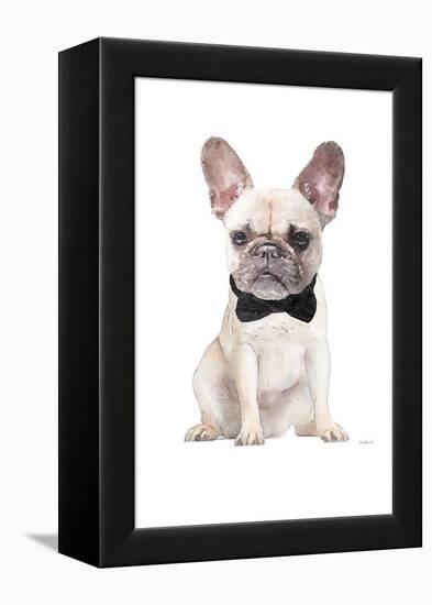 Frenchie II-Amanda Greenwood-Framed Stretched Canvas