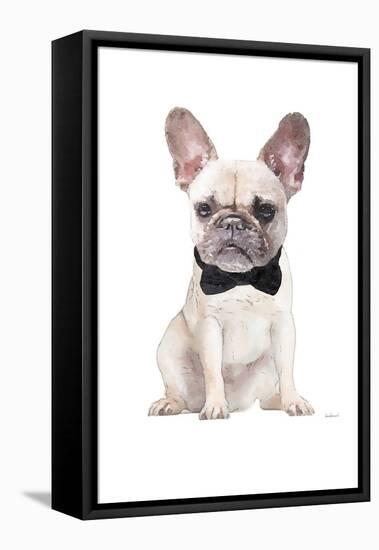 Frenchie II-Amanda Greenwood-Framed Stretched Canvas