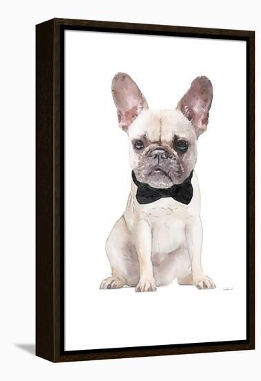 Frenchie II-Amanda Greenwood-Framed Stretched Canvas