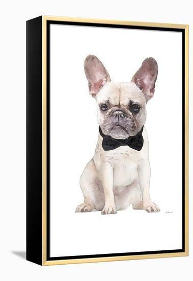 Frenchie II-Amanda Greenwood-Framed Stretched Canvas