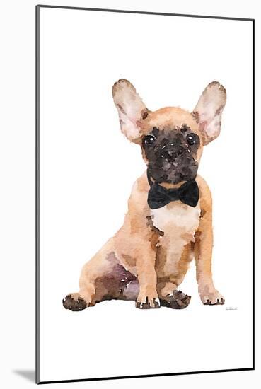 Frenchie III-Amanda Greenwood-Mounted Art Print