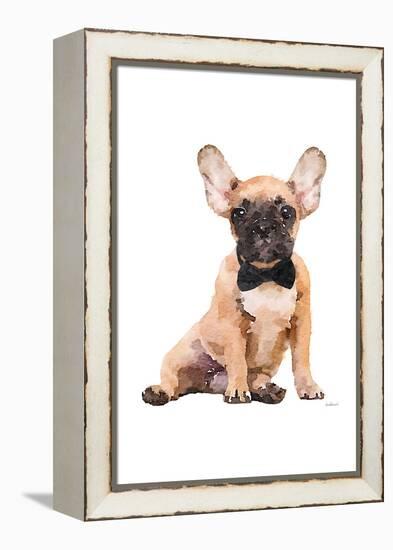 Frenchie III-Amanda Greenwood-Framed Stretched Canvas