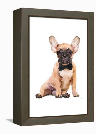 Frenchie III-Amanda Greenwood-Framed Stretched Canvas