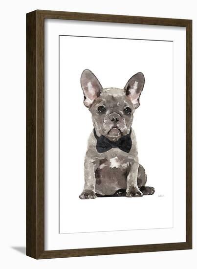 Frenchie IV-Amanda Greenwood-Framed Art Print