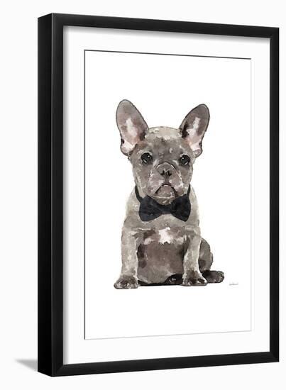 Frenchie IV-Amanda Greenwood-Framed Art Print