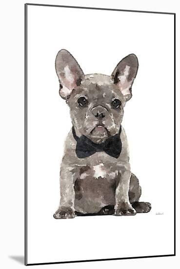 Frenchie IV-Amanda Greenwood-Mounted Art Print