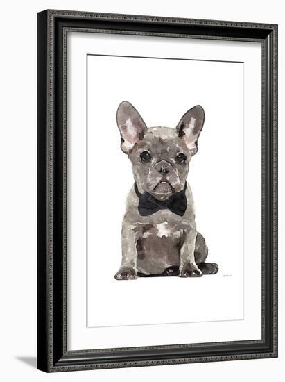 Frenchie IV-Amanda Greenwood-Framed Art Print