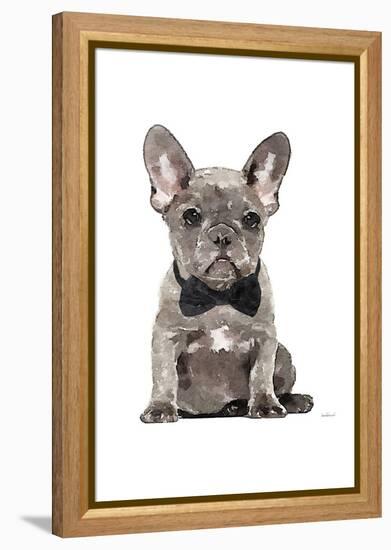 Frenchie IV-Amanda Greenwood-Framed Stretched Canvas