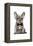 Frenchie IV-Amanda Greenwood-Framed Stretched Canvas