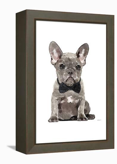 Frenchie IV-Amanda Greenwood-Framed Stretched Canvas