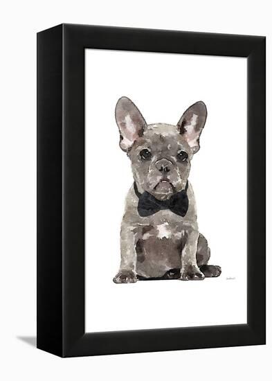 Frenchie IV-Amanda Greenwood-Framed Stretched Canvas