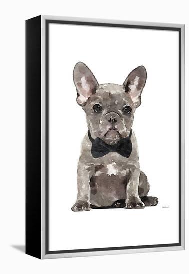 Frenchie IV-Amanda Greenwood-Framed Stretched Canvas