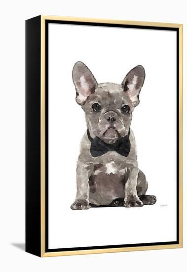 Frenchie IV-Amanda Greenwood-Framed Stretched Canvas