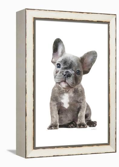 Frenchie IX-Amanda Greenwood-Framed Stretched Canvas