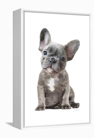 Frenchie IX-Amanda Greenwood-Framed Stretched Canvas