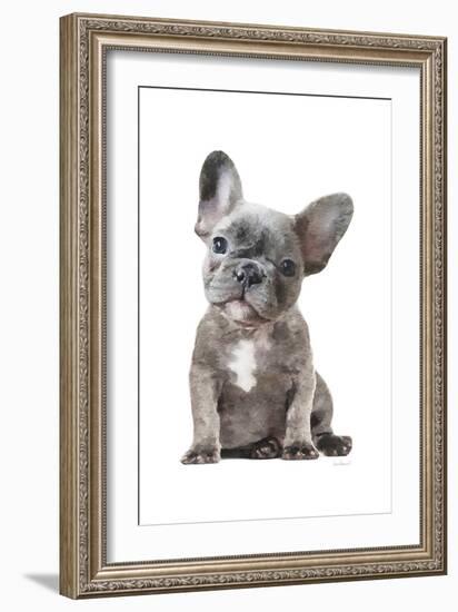 Frenchie IX-Amanda Greenwood-Framed Art Print