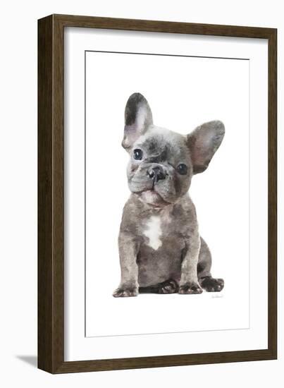 Frenchie IX-Amanda Greenwood-Framed Art Print