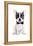 Frenchie V-Amanda Greenwood-Framed Stretched Canvas