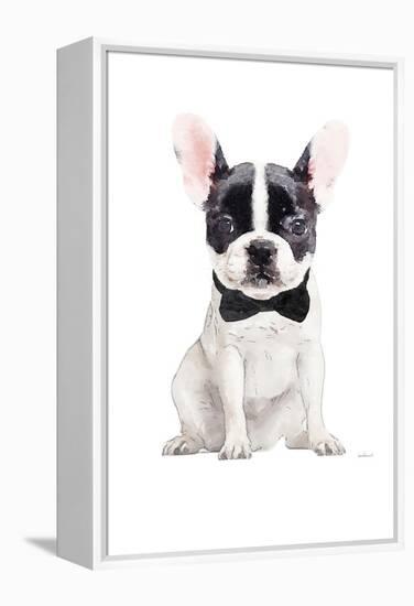 Frenchie V-Amanda Greenwood-Framed Stretched Canvas