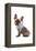 Frenchie VII-Amanda Greenwood-Framed Stretched Canvas