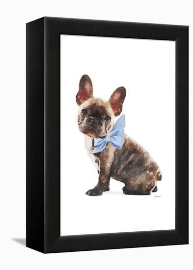 Frenchie VII-Amanda Greenwood-Framed Stretched Canvas