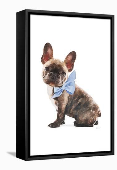 Frenchie VII-Amanda Greenwood-Framed Stretched Canvas