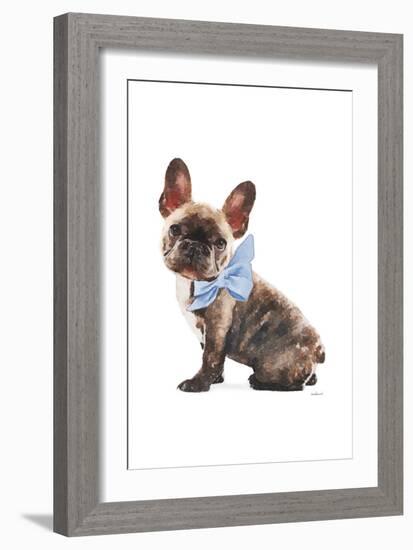 Frenchie VII-Amanda Greenwood-Framed Art Print