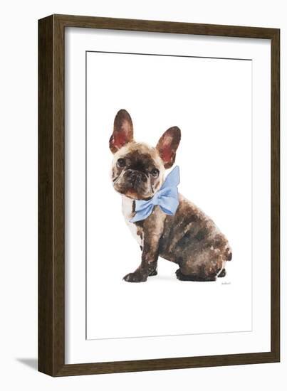 Frenchie VII-Amanda Greenwood-Framed Art Print