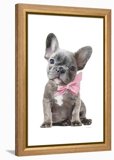 Frenchie X-Amanda Greenwood-Framed Stretched Canvas