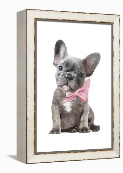 Frenchie X-Amanda Greenwood-Framed Stretched Canvas