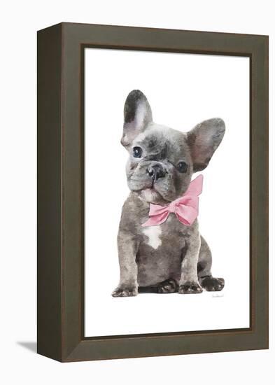 Frenchie X-Amanda Greenwood-Framed Stretched Canvas