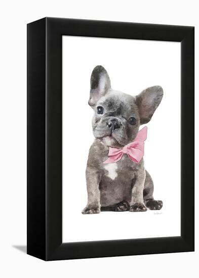 Frenchie X-Amanda Greenwood-Framed Stretched Canvas