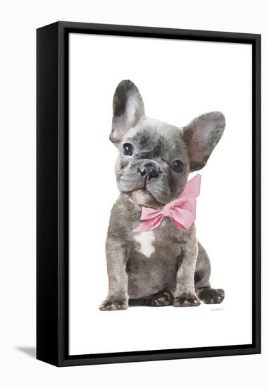 Frenchie X-Amanda Greenwood-Framed Stretched Canvas