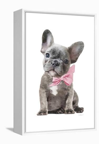 Frenchie X-Amanda Greenwood-Framed Stretched Canvas