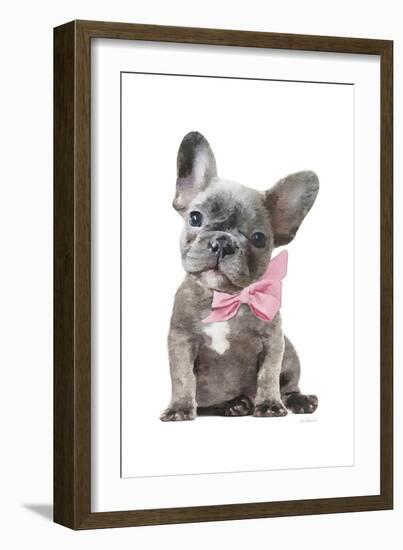 Frenchie X-Amanda Greenwood-Framed Art Print